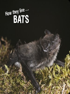 cover image of How they live... Bats